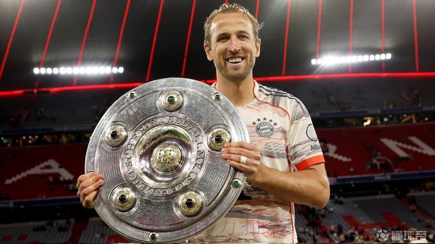 最新世界杯荷兰凯恩数据统计全面分析