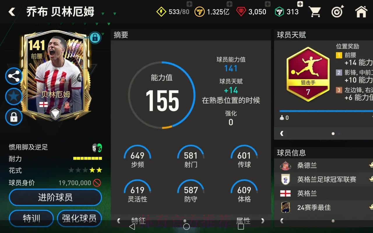 世界杯荷兰贝林厄姆数据统计全解析